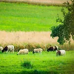 Отель 
